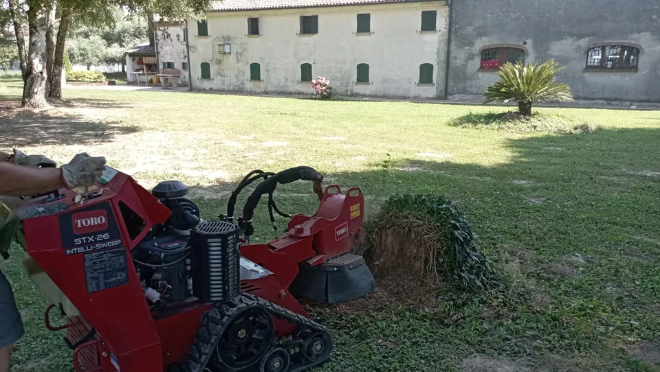 Fresaceppi durante la rimozione di una ceppaia