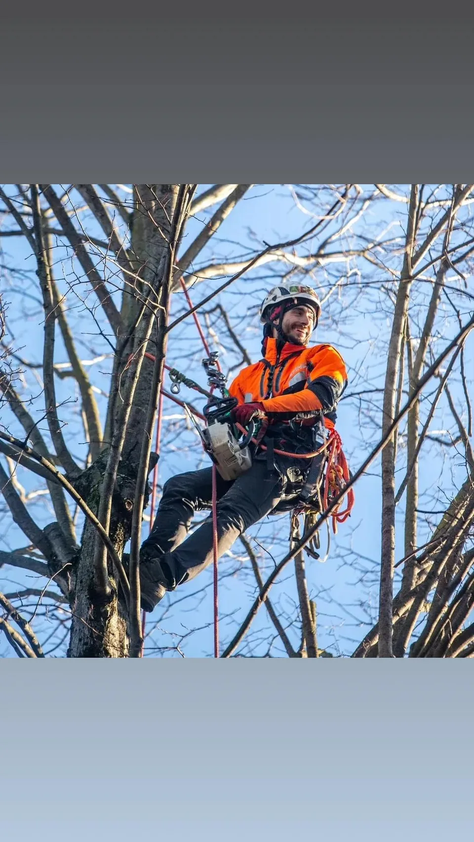 Tommaso Segala al lavoro in tree climbing