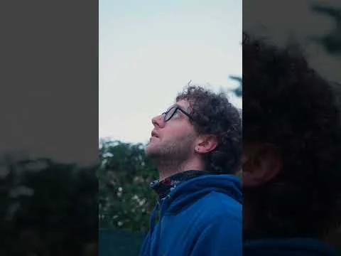 Abbattimento controllato di un pino